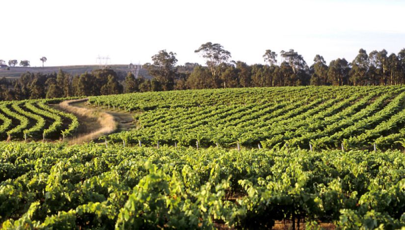 Hunter Valley