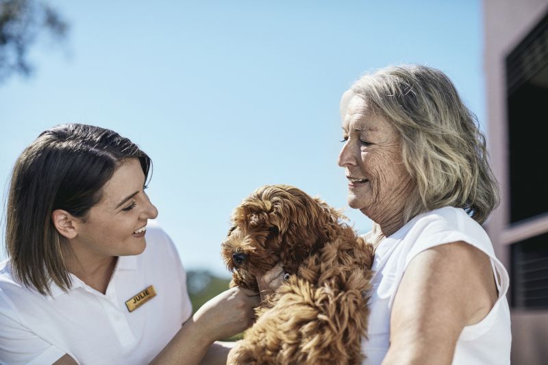 Spacious North-facing apartment with study and premium features