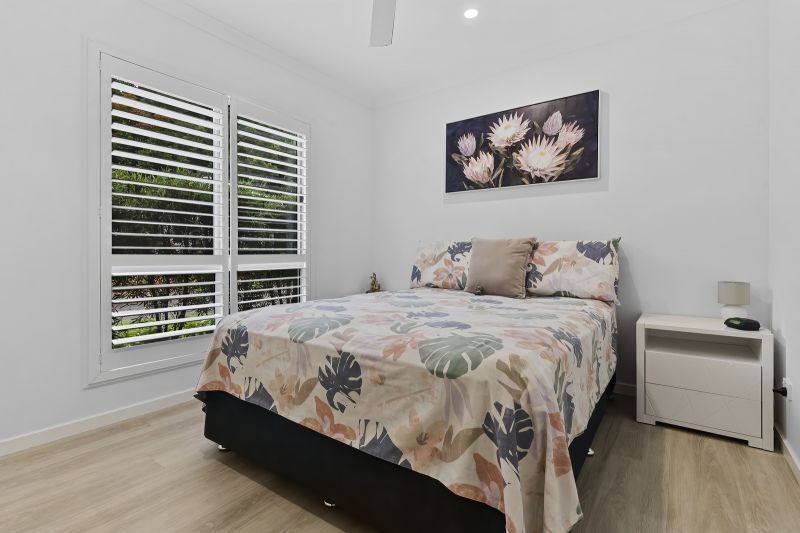 Stunning Rainforest Outlook