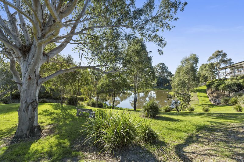 Mountains of value with Mountain Ash - retire in style