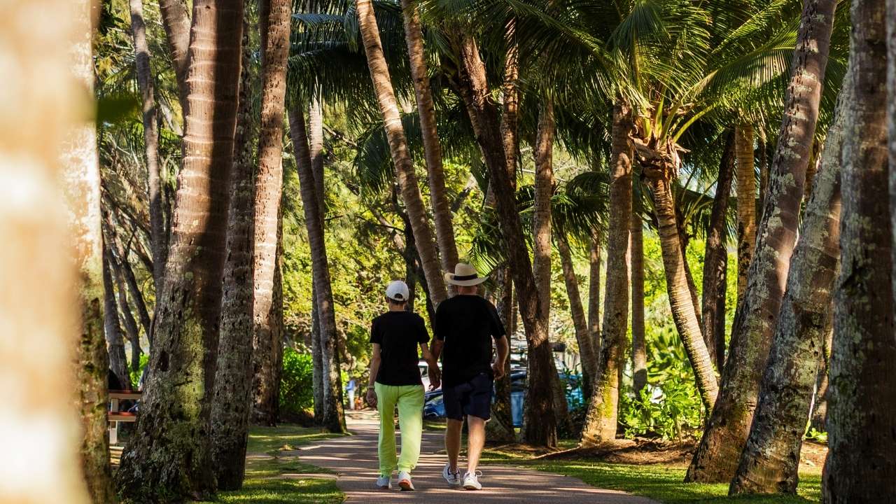 Positioned on the cusp of city and sea, Thyme Palm Cove is a unique blend of nature, freedom and connection