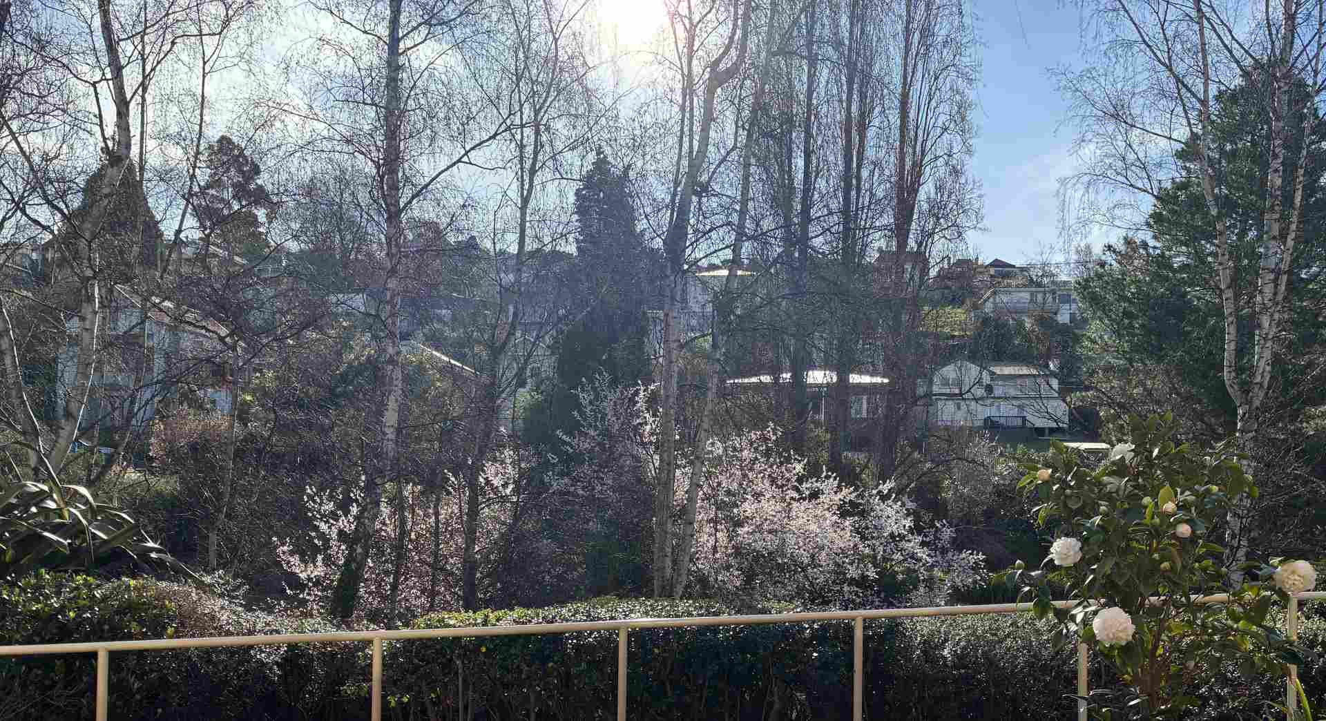 Spacious One Bedroom Unit with garden views