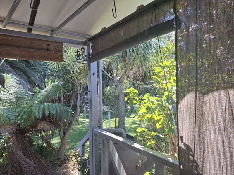 Renovators Dream