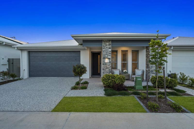 Site 258 - Established Kondalilla