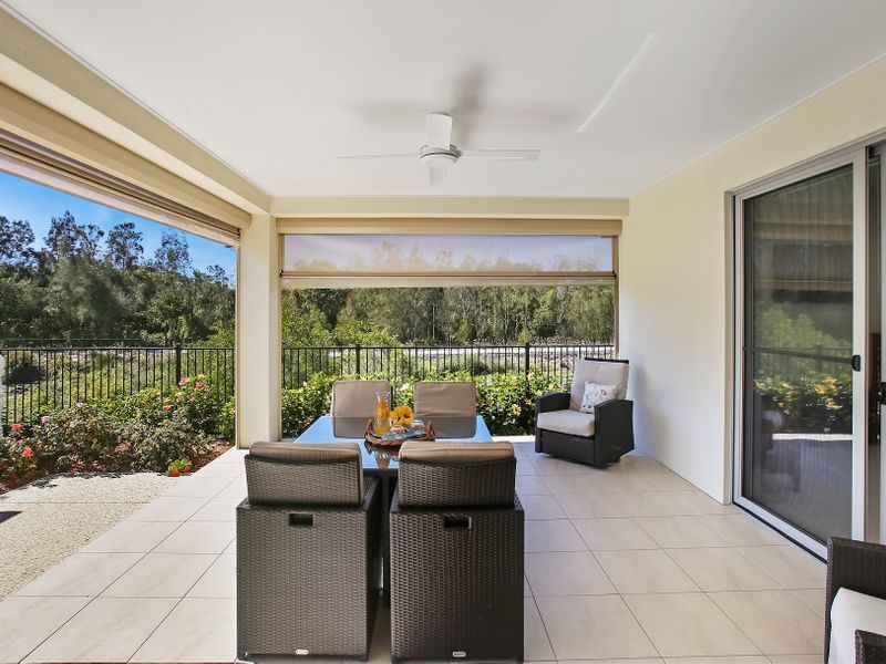 Waterfront Bird Watching