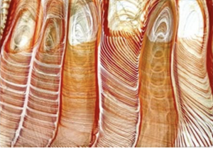 When art collides with science and technology, magic happens