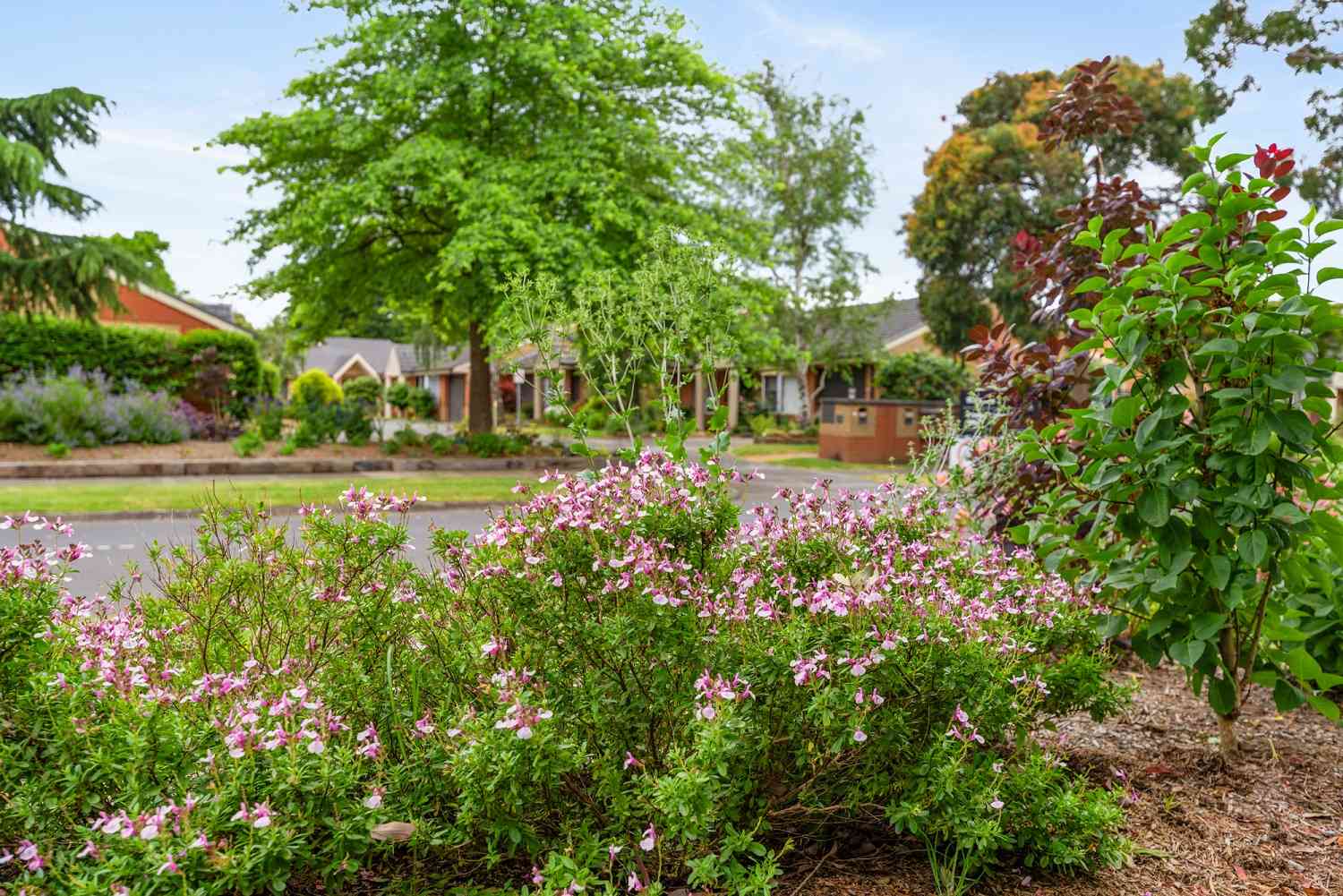 Walmsley Retirement Community