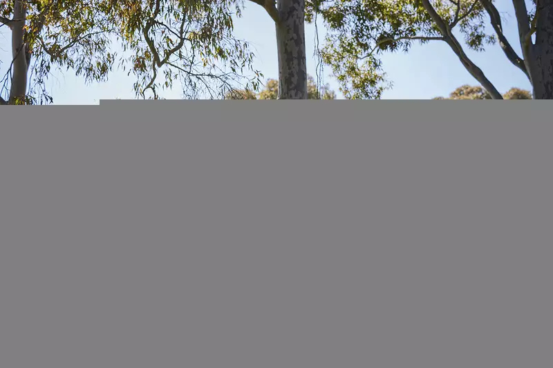 Freshly Updated with Private Courtyard Retreat