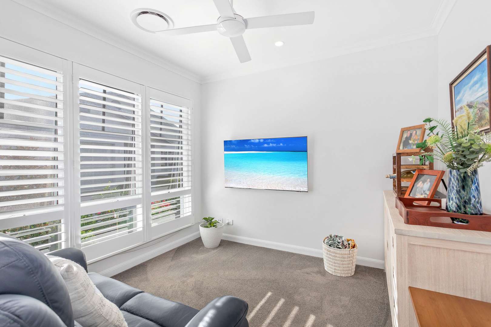 Beautifully Presented Palmetto