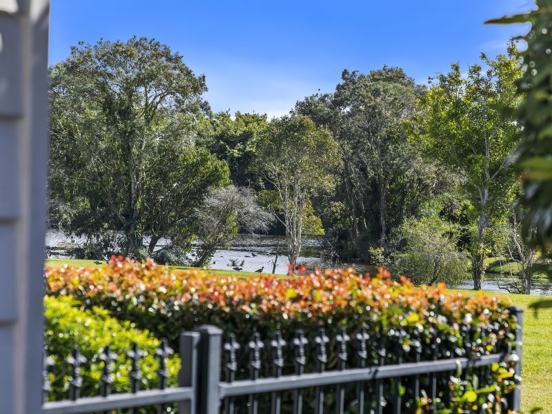 Site 127 - Established Sumarez