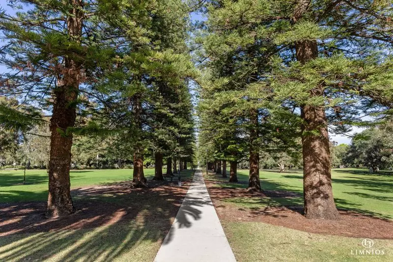 Investment Potential!