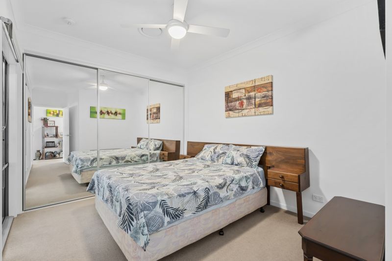 Site 55 - Established Crest Mare