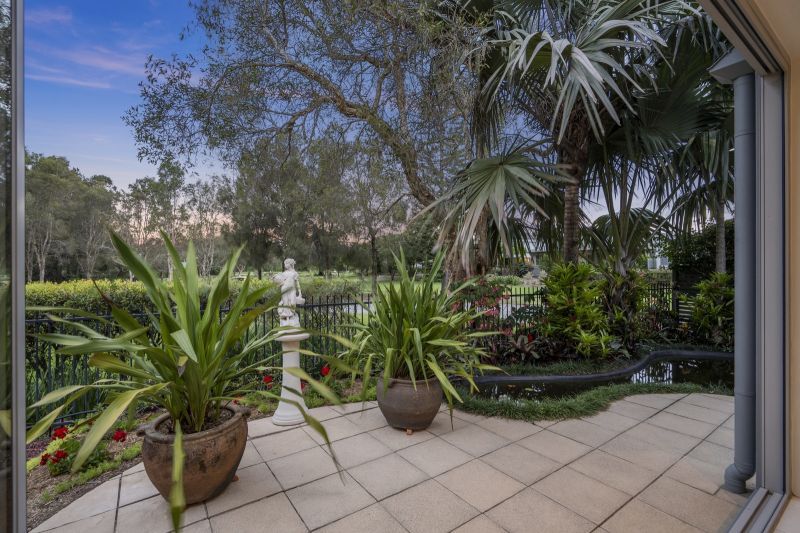 Site 166 - Established Saumarez