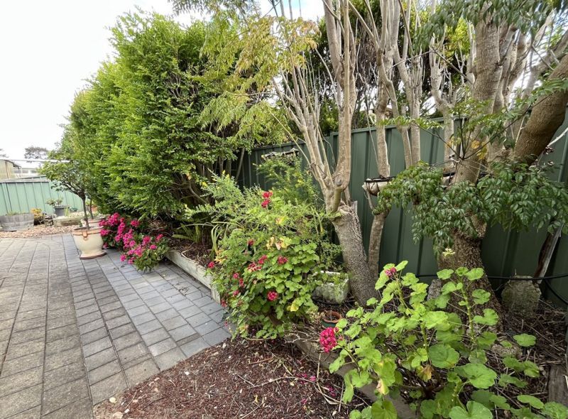 Lovely home - well located