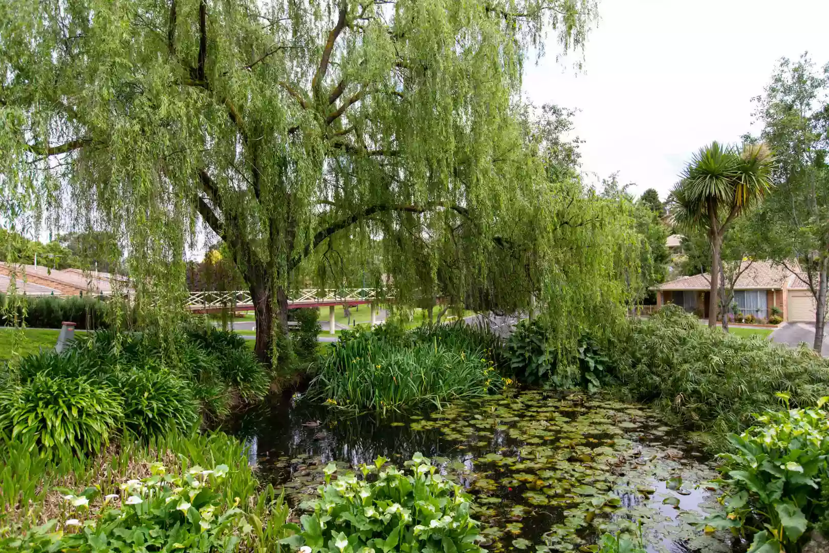 Two Bedroom | Villa 44