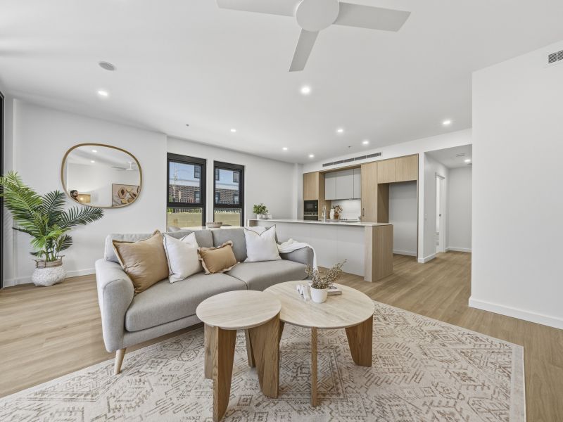 New, Stylish, Serene