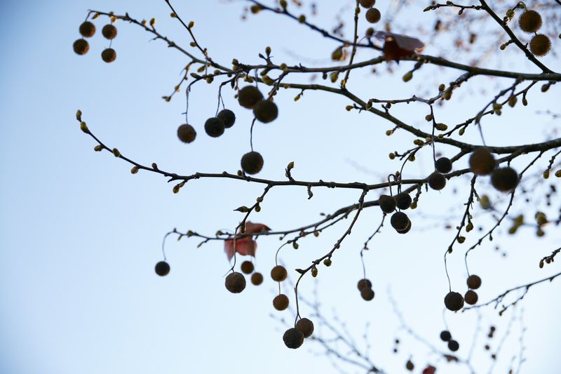 Lakeside Living at its Best