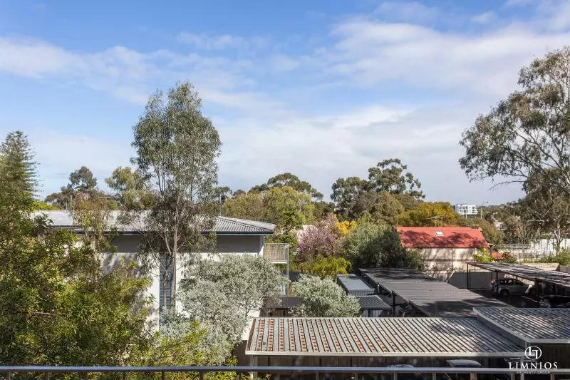 Investment Potential!