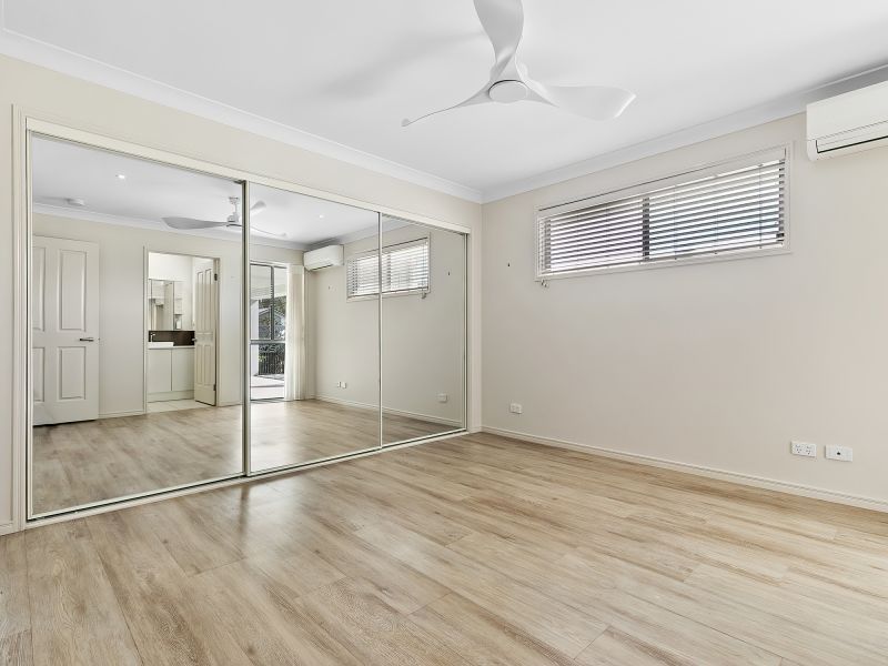 Site 127 - Established Sumarez