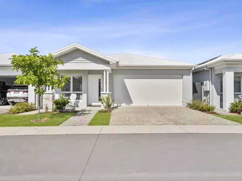 Site 84 - Established Avoca