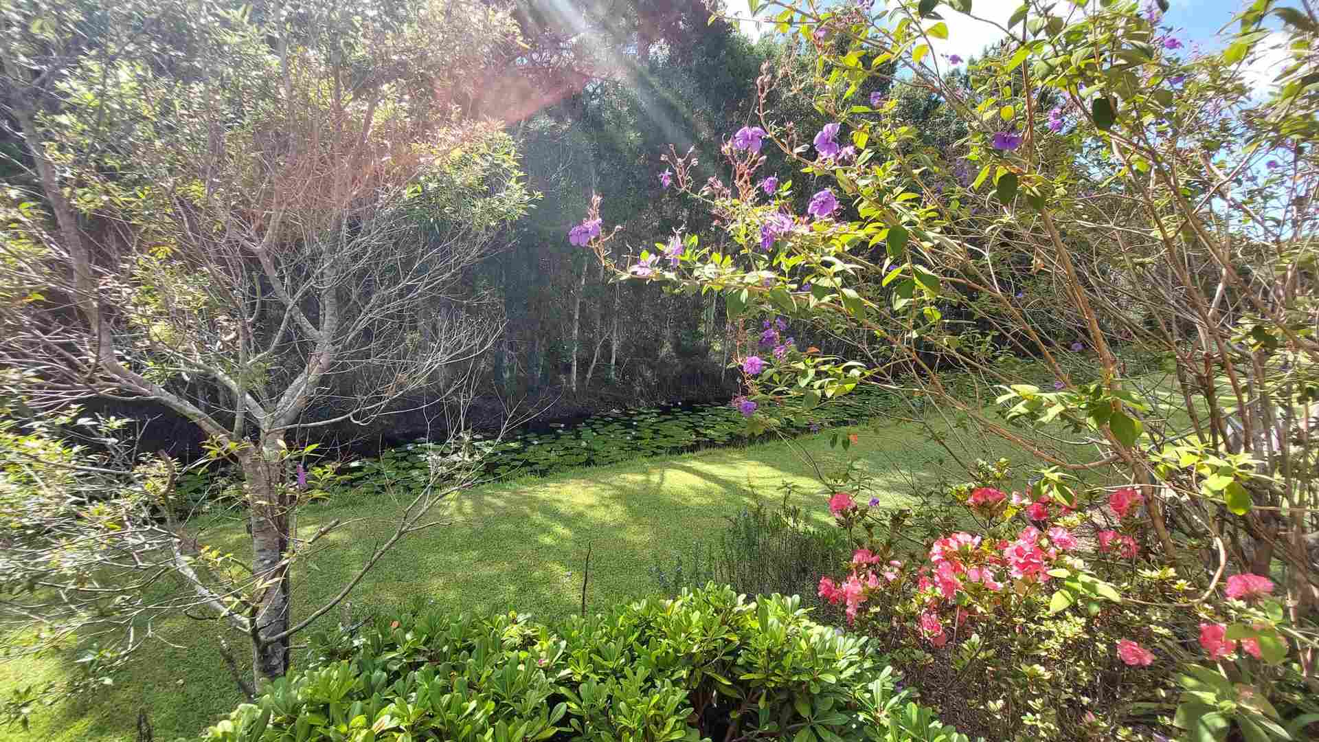 2-Bedrooms Home with Beautiful Views - 58 Sirocco II