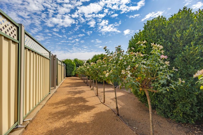 Single Catered Unit with weekly lunch package option* – Rent in Seniors Community