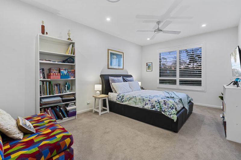 Site 261 - Established Kondalilla