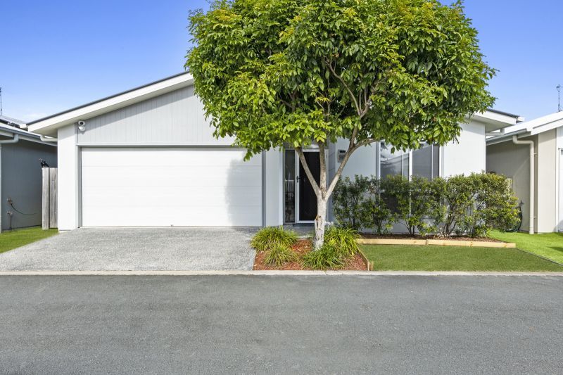 Peaceful Entertainer's Haven