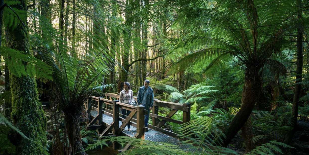 Yarra Ranges