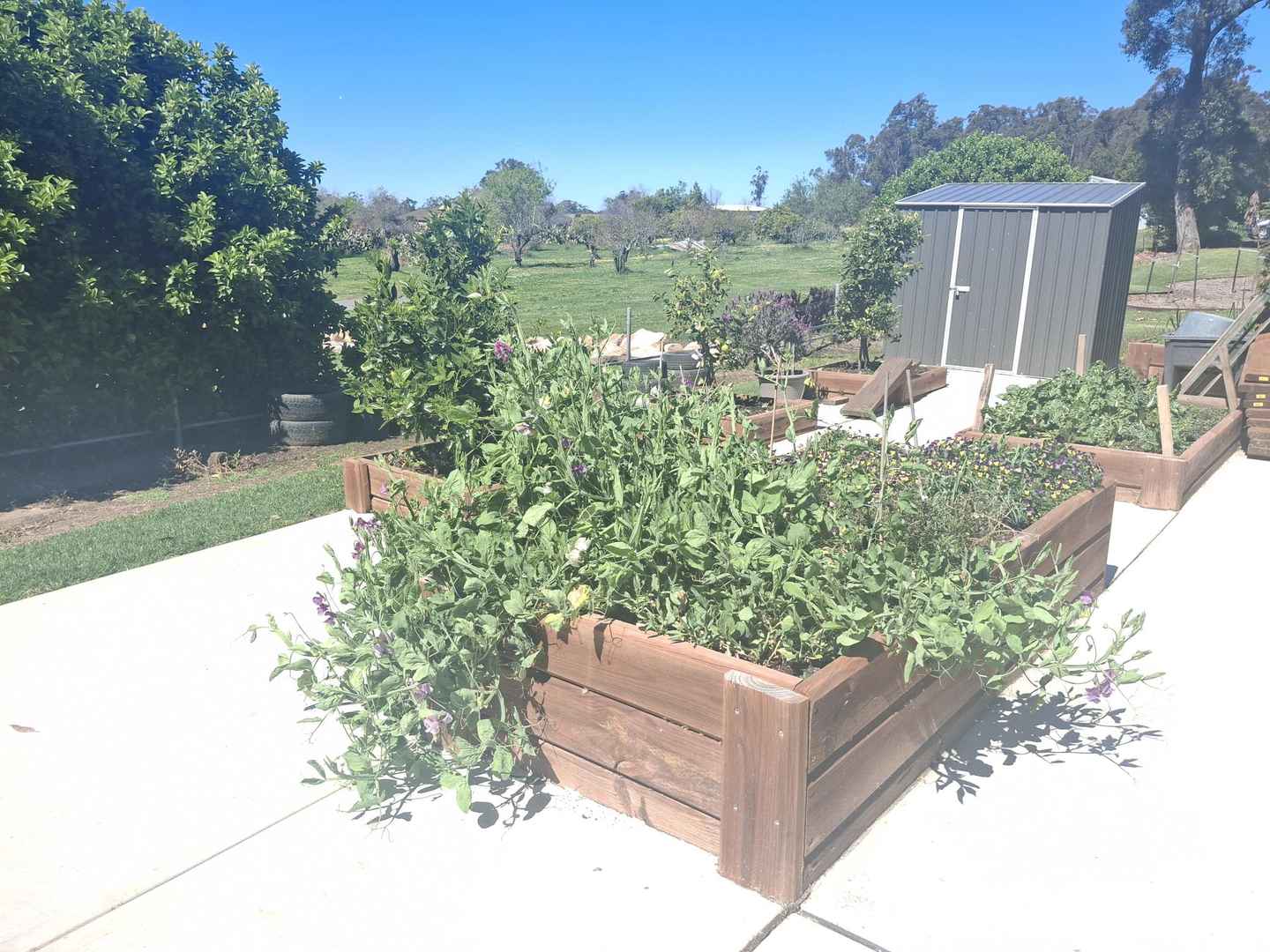 Studio with Park Views