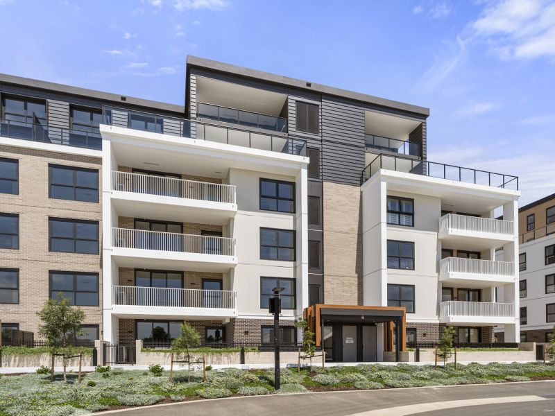 Luxury living immersed in calming bushland surrounds