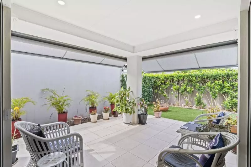 Site 36 - Established Hinchinbrook