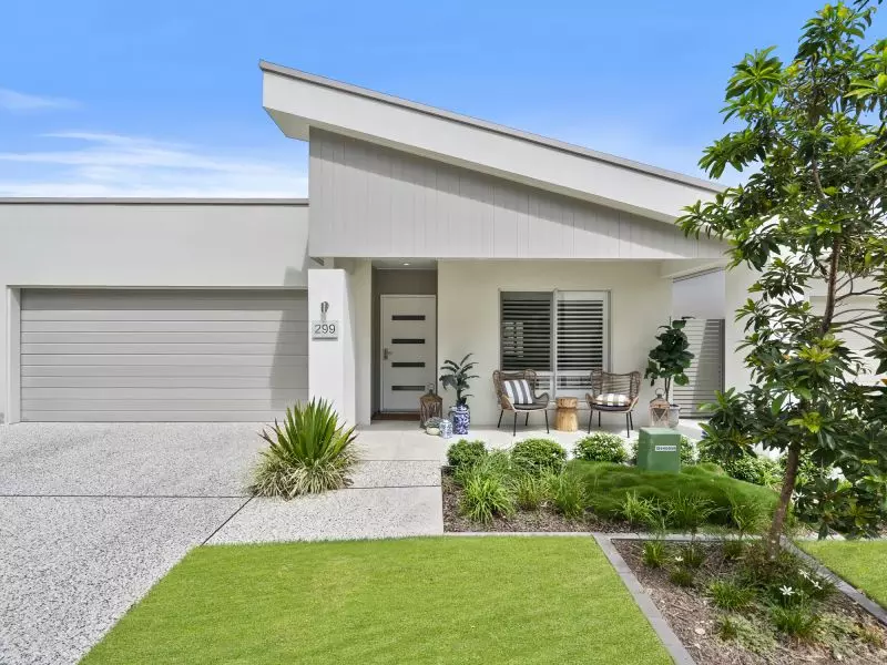 Site 299 - Established Sequoia