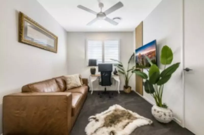 Site 262 - Established Sequoia