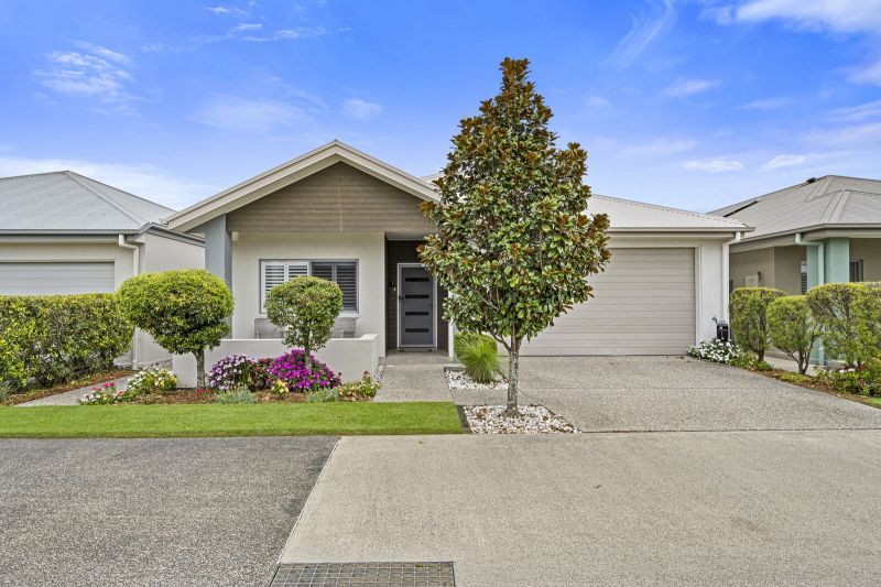 Site 54 - Established Marengo (modified)