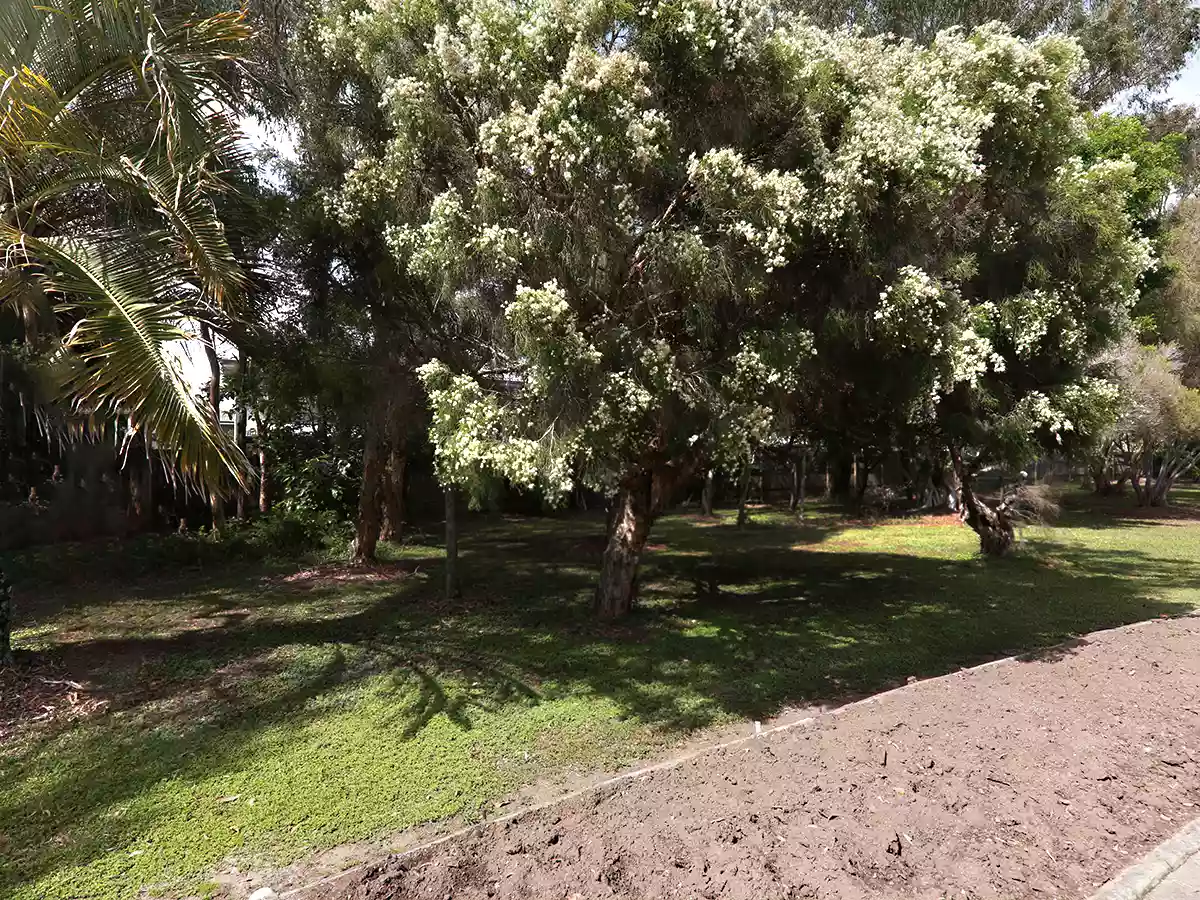 Pacific Palms Village - NEWLY Renovated Villa - Back Deck - SOLD