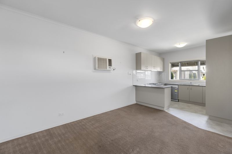 Blank Canvas – Endless Potential!