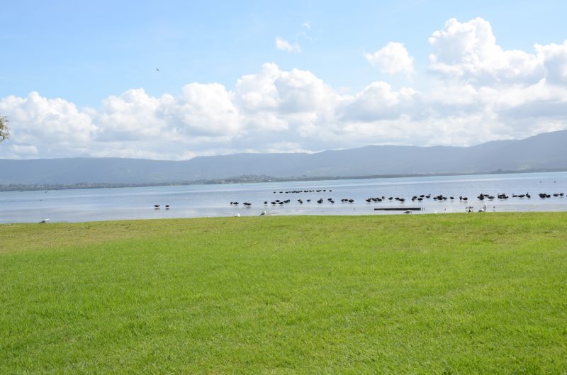 Jettys by the Lake - Site 317