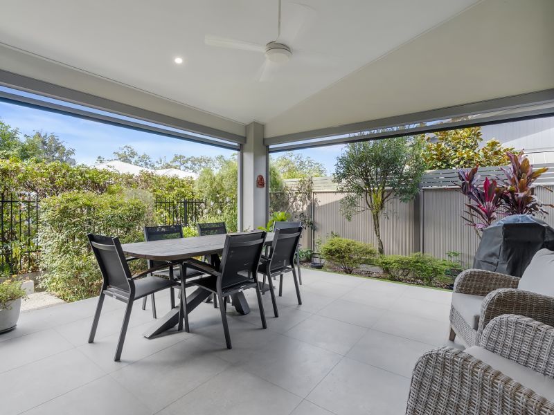 Site 28 - Established Sequoia