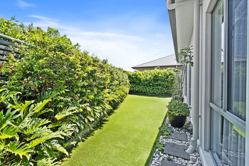 Site 81 - Established Special