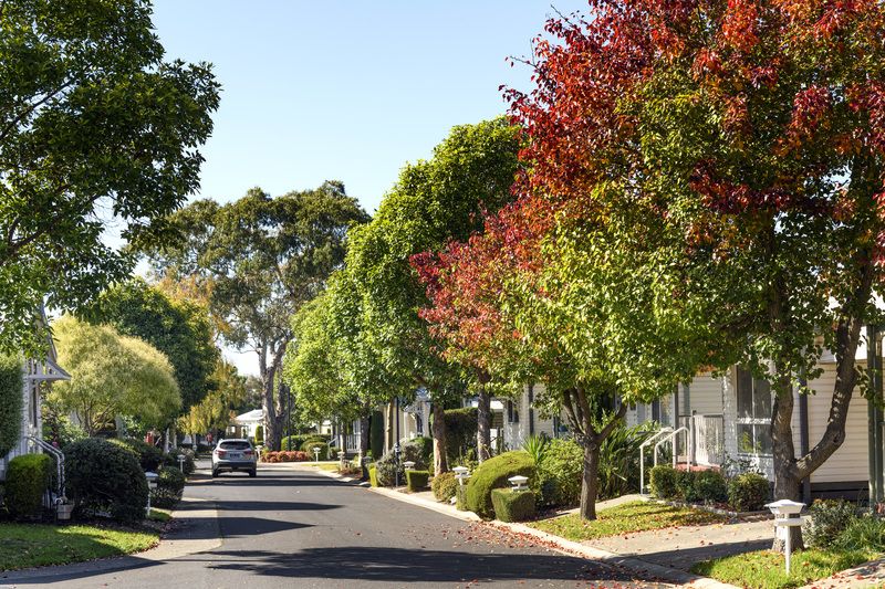 Great Street Appeal!