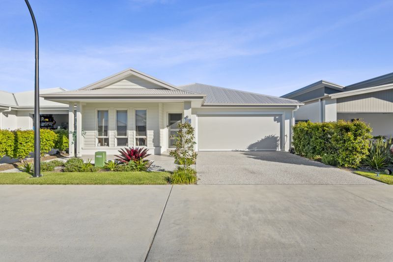 Site 207 - Established Beechmont