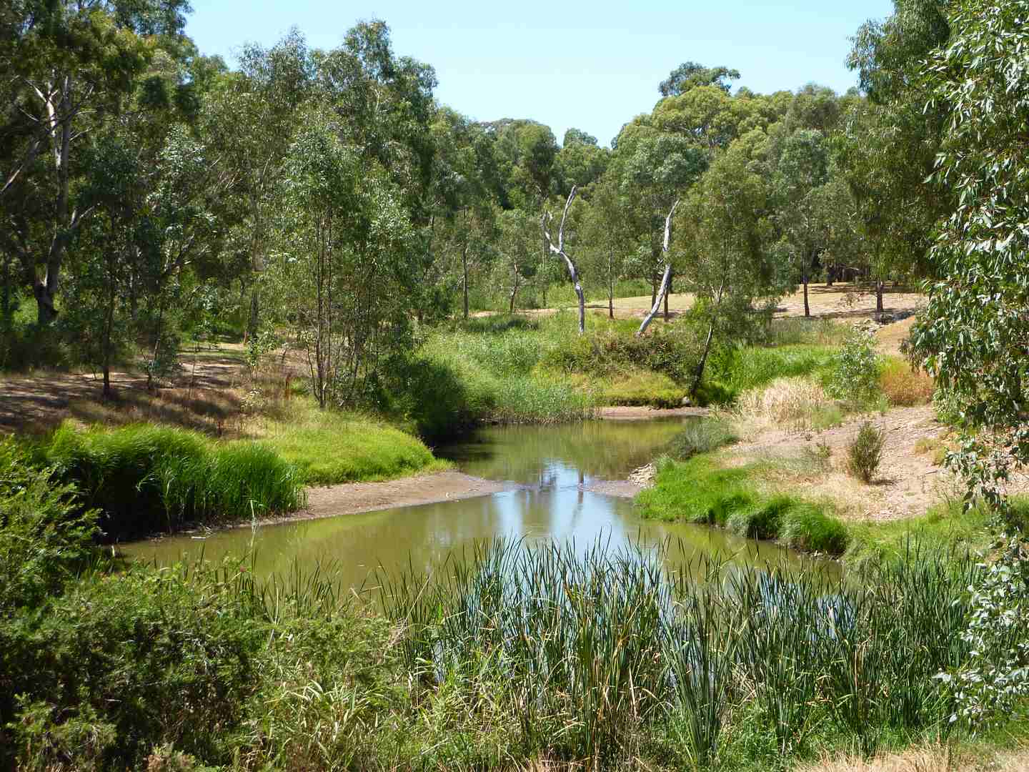 Resthaven Paradise Retirement Living units overlook the picturesque Torrens Linear Park, with a backdrop of the Adelaide Hills