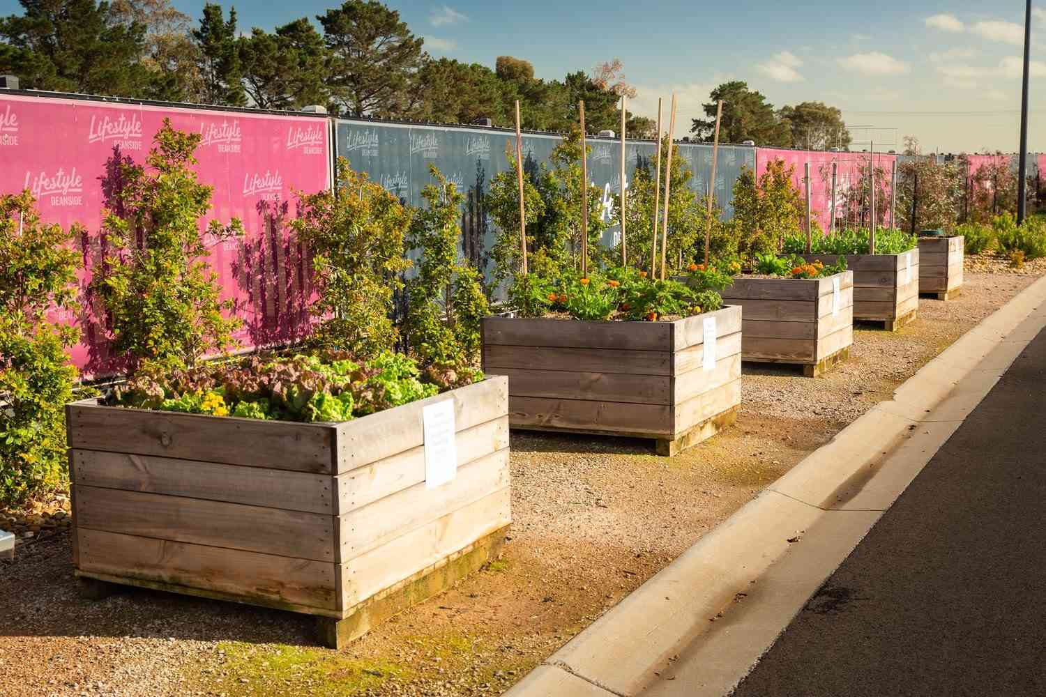 Lifestyle Communities Deanside - A clever design for space and comfort