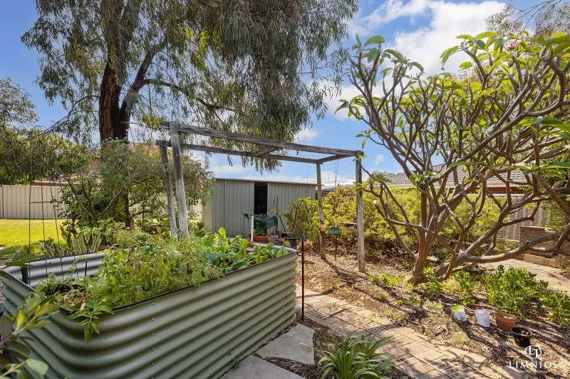 Explore your options!