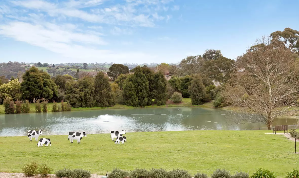 Young Residential Aged Care