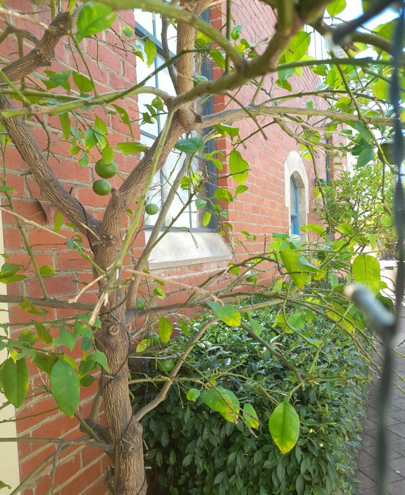 A Unique New York Style Townhouse, Heritage Development!