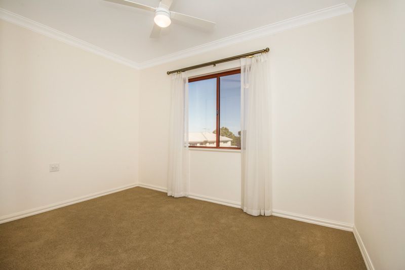 What more could you want?