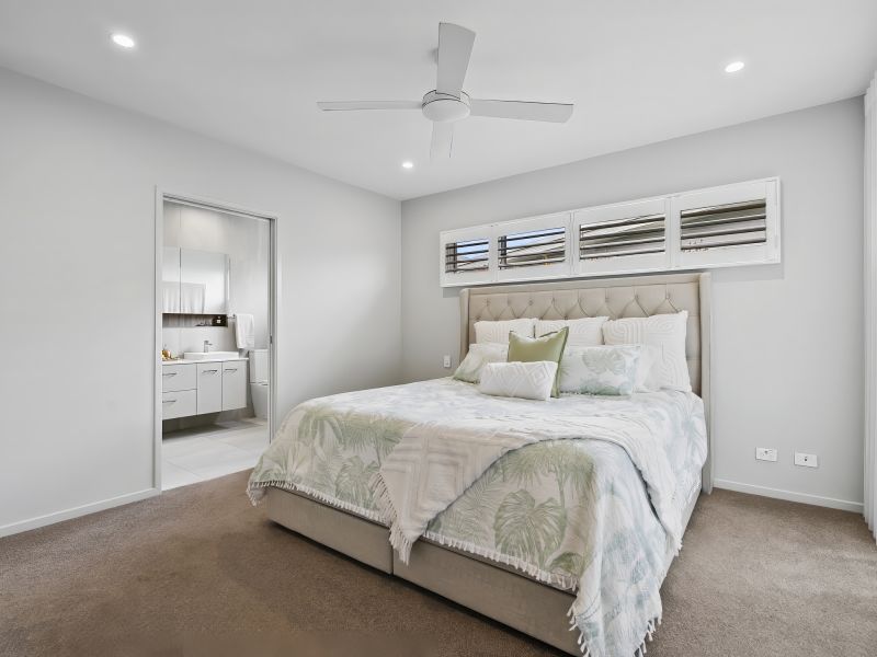 Site 299 - Established Sequoia