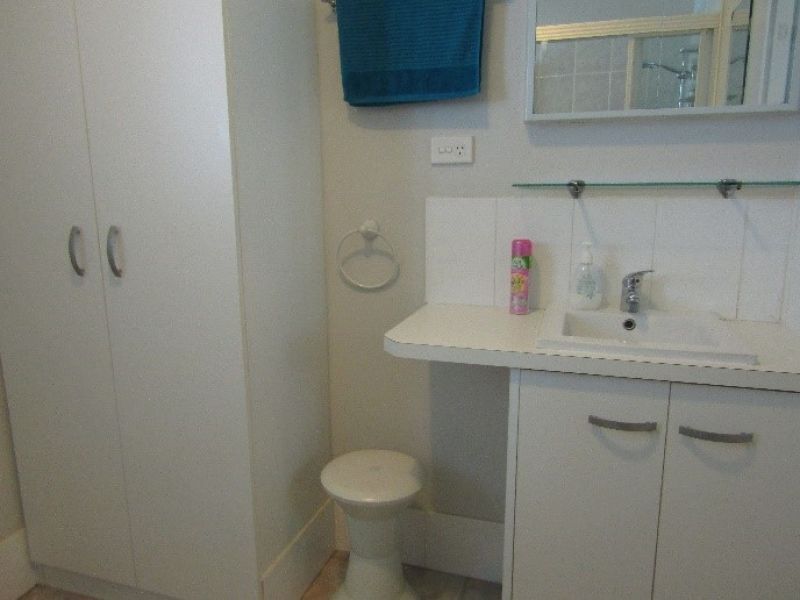 Lime Tree Village - Site 81